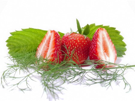 ripe strawberry with leaves and a sprig of dillの写真素材