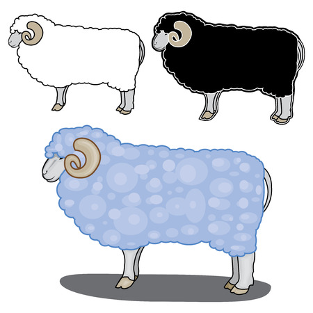 vector illustration of sheep in different stylesのイラスト素材
