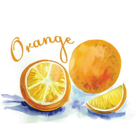 watercolor label with orange and the wordsのイラスト素材
