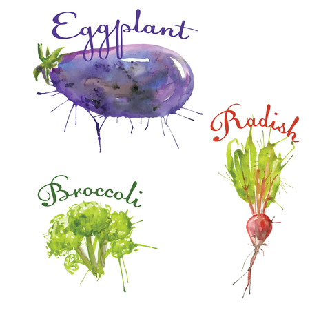 watercolor set of vegetables eggplant, radish, broccoliのイラスト素材