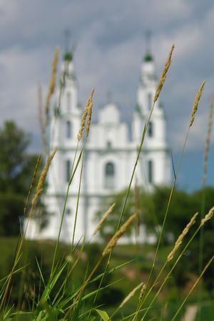 grass on cathedral backgroundの写真素材
