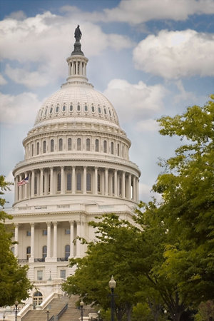 US Capitol in Washington DC