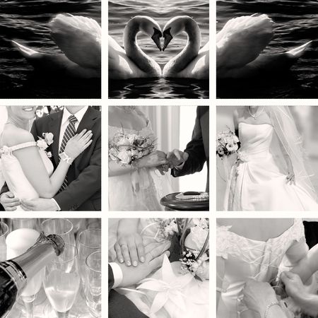 wedding photos collectionの写真素材