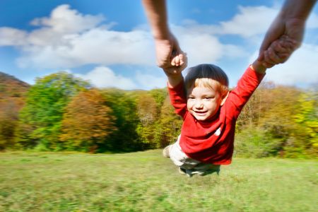 flying  on autumn forest backgroundの写真素材