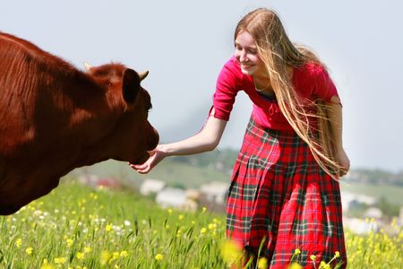 beautiful girl with long hair feeding cow on meadowの写真素材