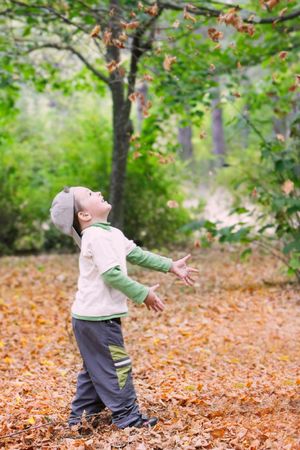 young boy throwing leaves in autumn parkの写真素材