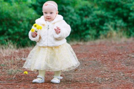 young lady in beautiful dress on natural backgroundの写真素材