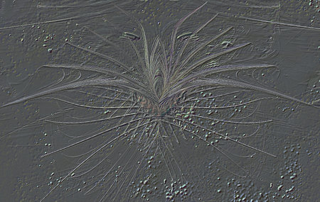 Abstraction in the form of bas-relief fossils or trace. Fractal art graphics