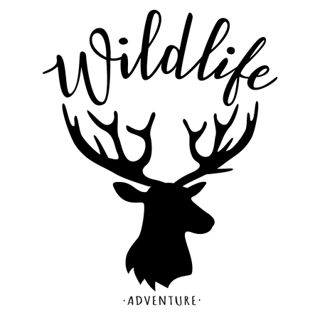 Hand drawn inspirational label with Silhouette of a deer, vector illustrations and "Wildlife" lettering.のイラスト素材