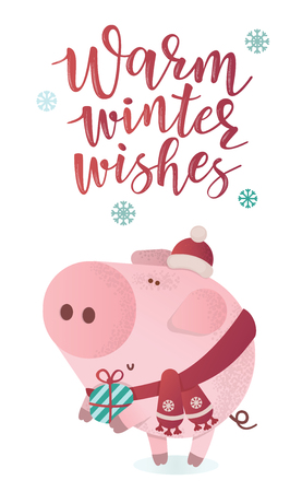 Cute piggy character in a winter scarf with a present. Greeting illustration. Symbol of winter holidays. Zodiac sign. Perfect for calendar and celebration card.のイラスト素材