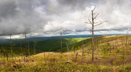 Mountains in the far east of Russia, Khabarovsk region. A mountain range near the city of Komsomolsk-on-Amur.の写真素材