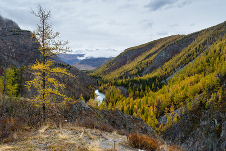 Beautiful valley of the Chuya River Mountain Altai. The mountain river Chuya is a republic of Altai...