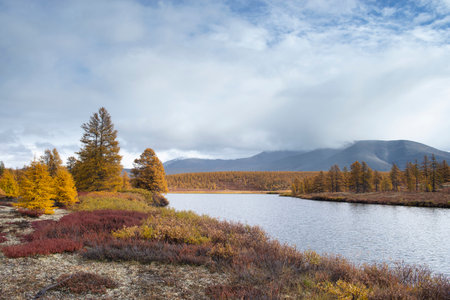 Far East of Russia, Magadan region, Susumansky district, lake Malyk. Surroundings of the mountain lake Malyk in the north of the Far East is located five hundred kilometers from the city of Magadan.の写真素材