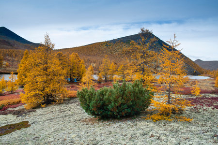 Far East of Russia, Magadan region, Susumansky district, lake Malyk. Surroundings of the mountain...