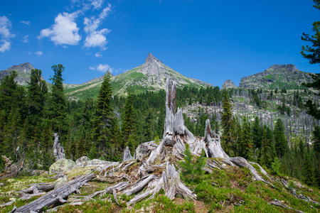 Russia Krasnoyarsk region. Natural national park Ergaki. Mountain range in the Ergaki natural park in the south of Krasnoyarsk Karya.の写真素材