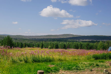 ural mountainsの写真素材