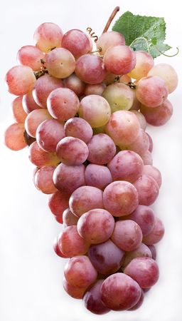 grapes; Objects on white backgroundの写真素材