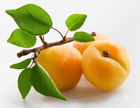 Apricots with leaves on a white background.の写真素材