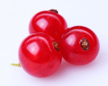 Currant red; Objects on white background