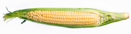 maize