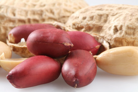 Peanut with pods on a white background.
