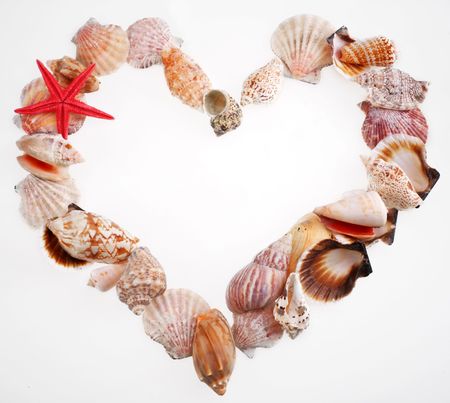 Shells in a shape of  valentine's heart on a whiteの写真素材