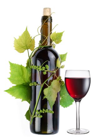 Bottle of wine in the vine on a white backgroundの写真素材