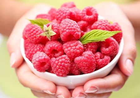 Crockery with raspberries in woman hands.
の写真素材