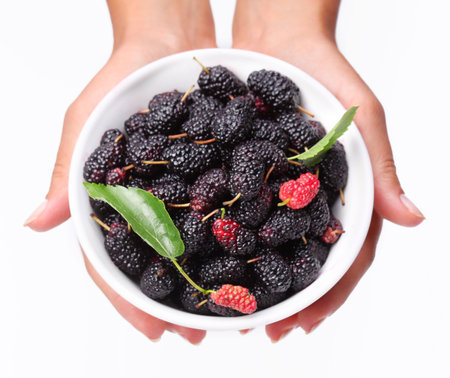 Crockery with mulberries in woman hands. Isolated on a white.