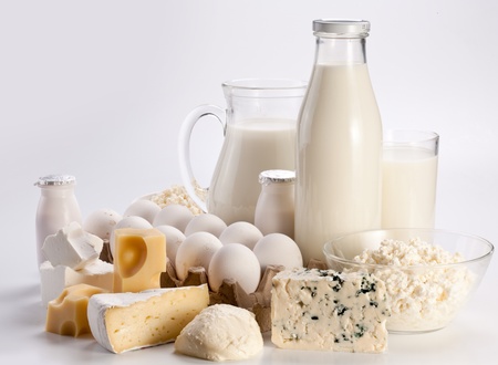 Protein products: cheese, cream, milk, eggs. On a white background. の写真素材