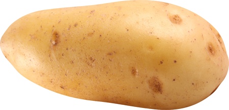Image of potato on white background. The file contains a path to cut.の写真素材