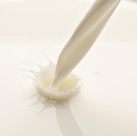 Splash of milk on a white background の写真素材