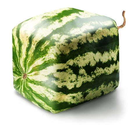 Cubic watermelon on white background.の写真素材