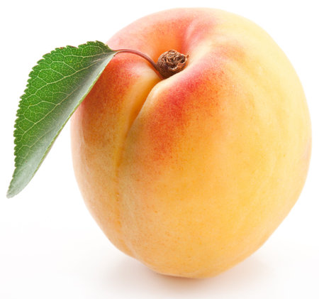 Apricot with leaf on a white background.の写真素材