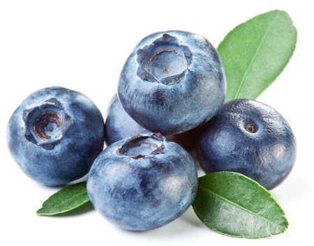 Blueberries with leaves on white background. Blueberries with leaves on white background.