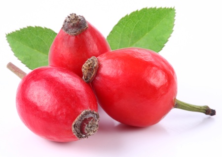 Group of rose hips isolated on a white background.の写真素材