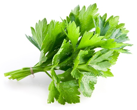 Bunch of green coriander on a white background の写真素材