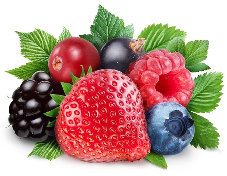 Collection of wild berries with leaves on a white background.