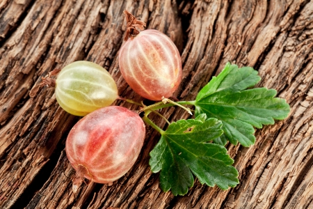 Gooseberries with leaves on a old wooden table の写真素材