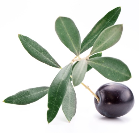 Ripe black olive with leaves on a white background の写真素材