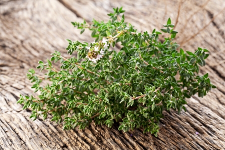 Thyme herb on wooden table の写真素材