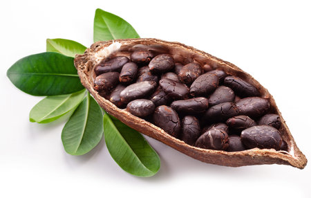 Cocoa pod on a white background.