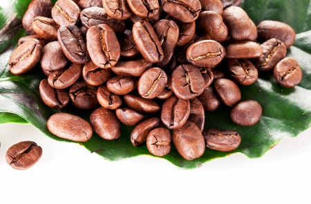 Coffee beans on leaf. Closeup snapshot.の写真素材
