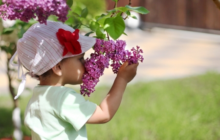 Baby girl sniffing lilac.の写真素材