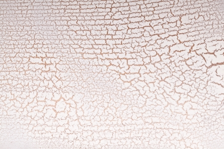 White wooden surface crazing. Craquelure.の写真素材