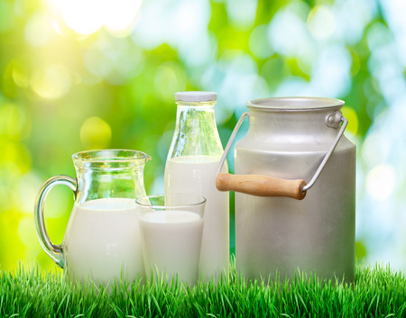 Fresh organic milk. Nature background.の写真素材