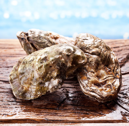 Raw oyster on the old wooden table. Sea beach at the background.