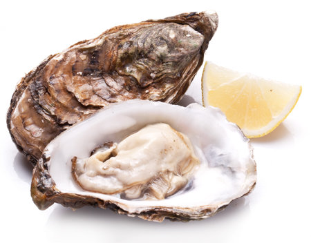 Raw oyster and lemon isolated on a whte background.の写真素材