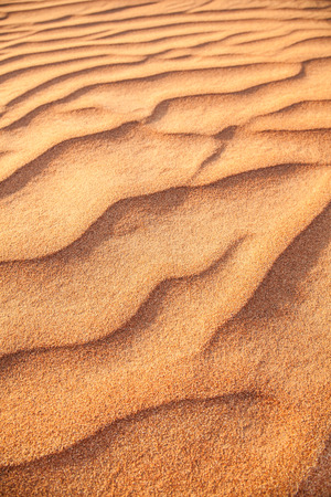 Rippled sand in desert.の写真素材