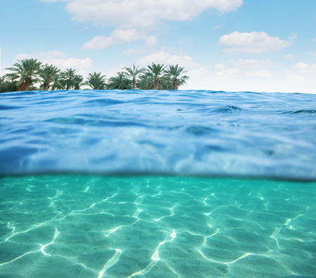Sea bottom near the coast.の写真素材